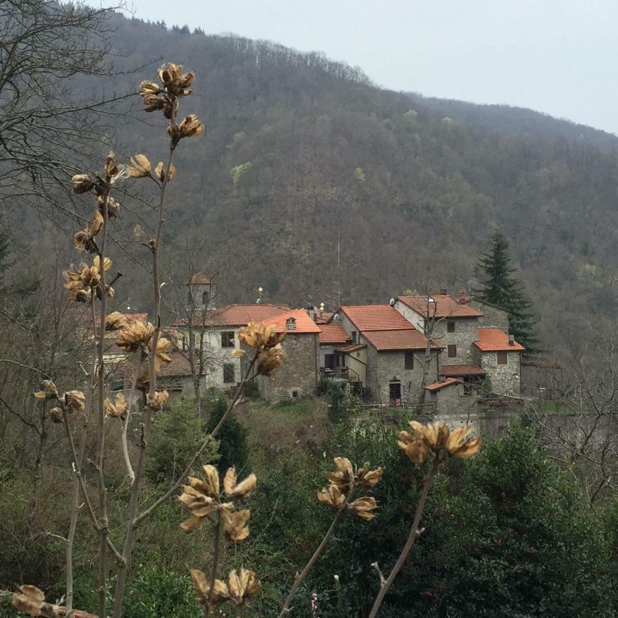 Castiglioni  B&B Il Ghiro المظهر الخارجي الصورة