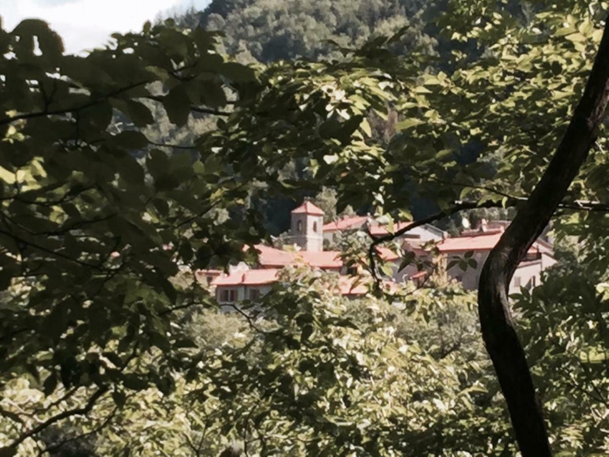 Castiglioni  B&B Il Ghiro المظهر الخارجي الصورة