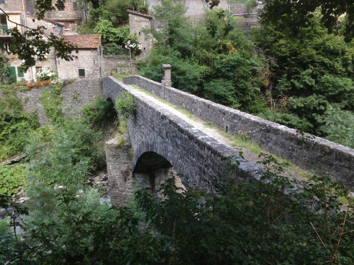Castiglioni  B&B Il Ghiro المظهر الخارجي الصورة