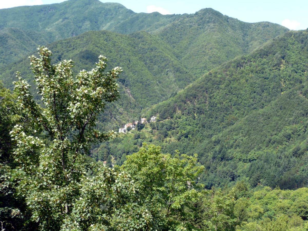 Castiglioni  B&B Il Ghiro المظهر الخارجي الصورة
