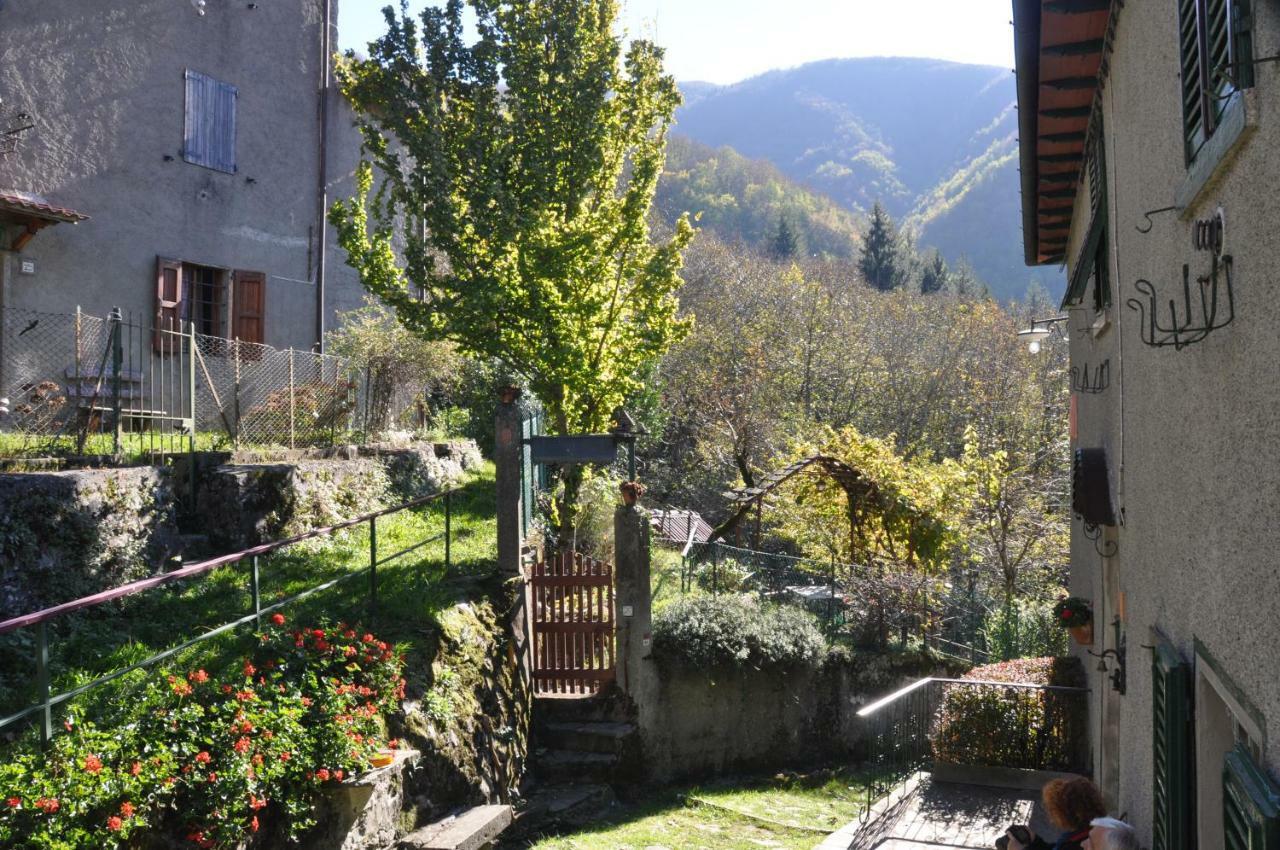 Castiglioni  B&B Il Ghiro المظهر الخارجي الصورة