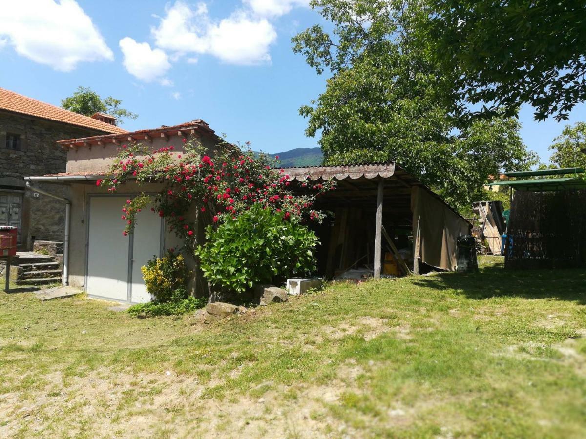 Castiglioni  B&B Il Ghiro المظهر الخارجي الصورة